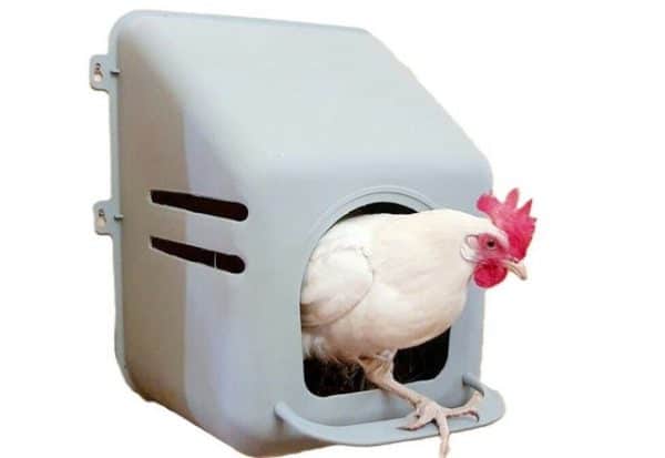 MYPETS CHICKENBOX Hühnernest Test